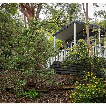 Discovery Parks - Lane Cove Sydney Kültér fotó