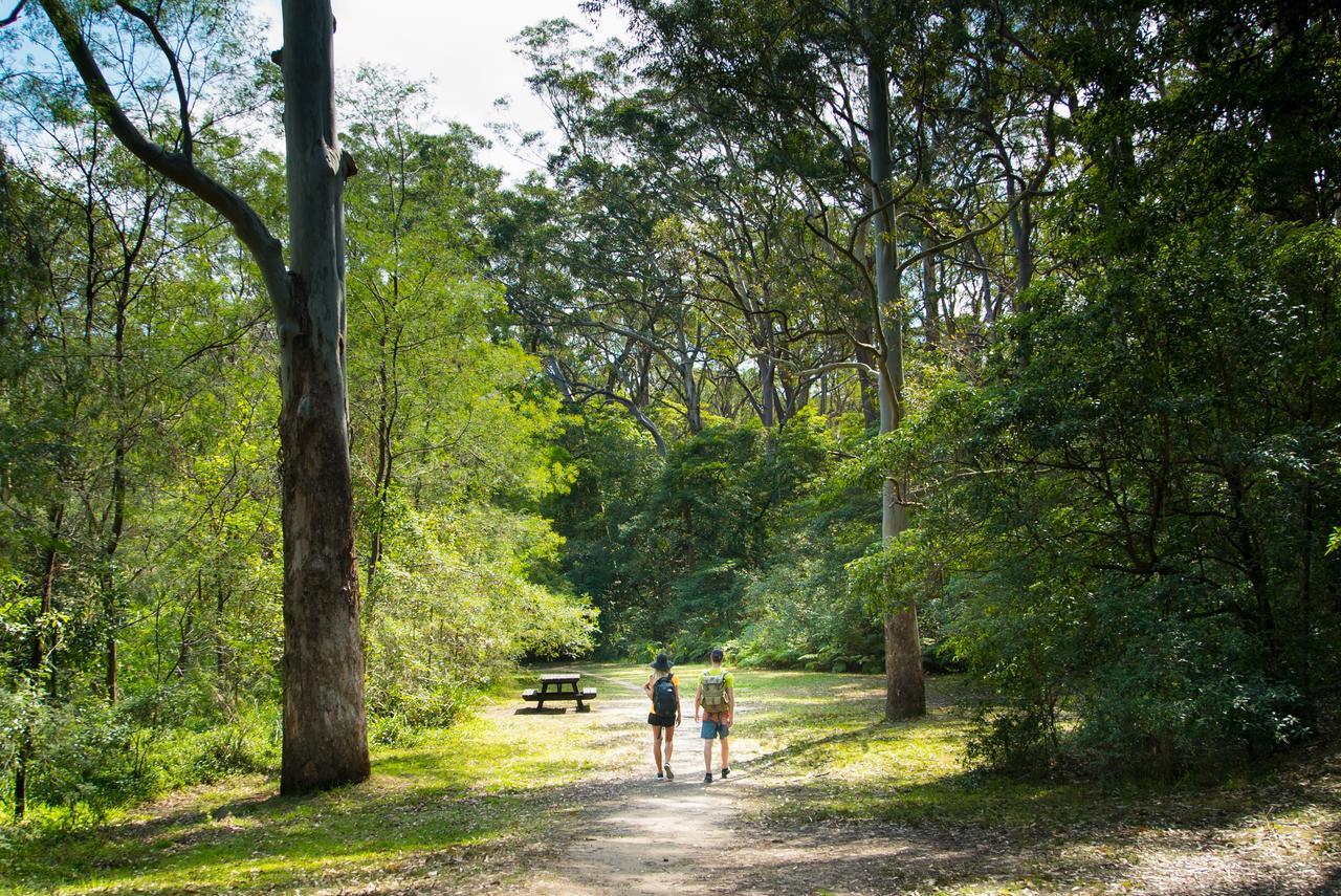 Discovery Parks - Lane Cove Sydney Kültér fotó